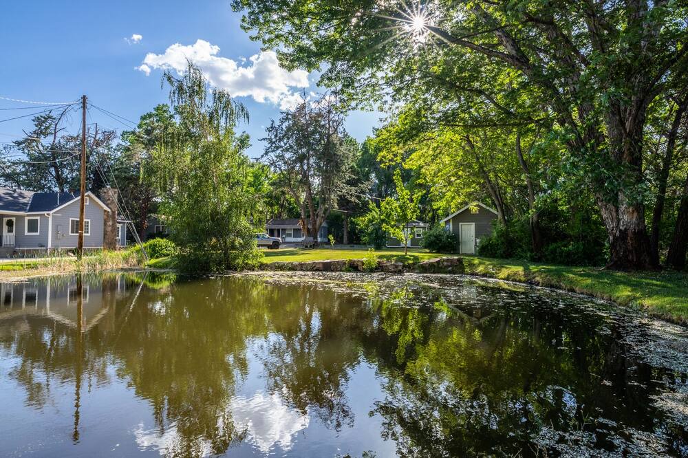 Photo of Outdoor in West Bishop
