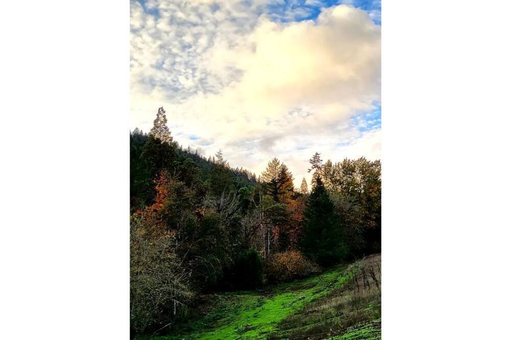 Photo of Outdoor in Days Creek