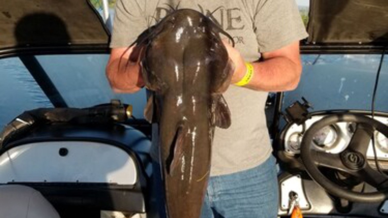 Photo of Others in Clear Lake