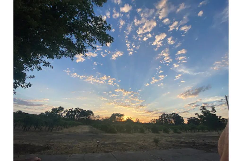 Photo of Outdoor in Finley