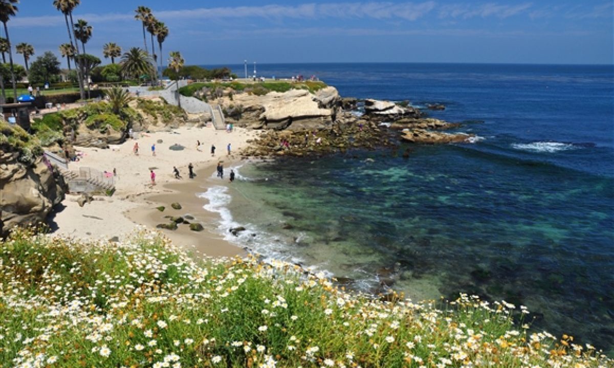 Photo of Outdoor in Village of La Jolla