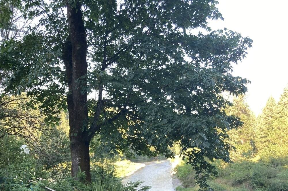 Photo of Others in Woodland