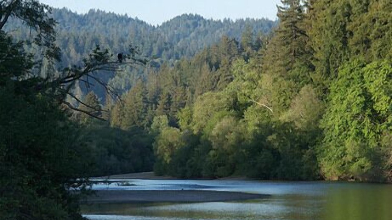 Photo of Outdoor in Guerneville