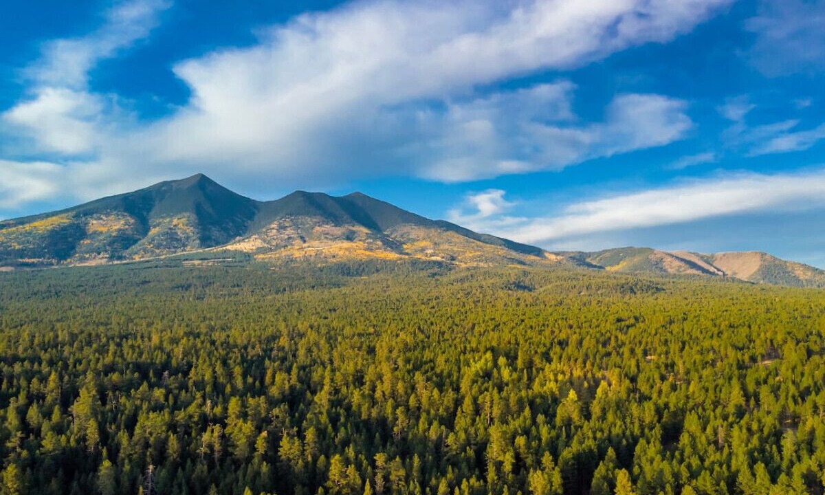 Photo of Others in Baderville