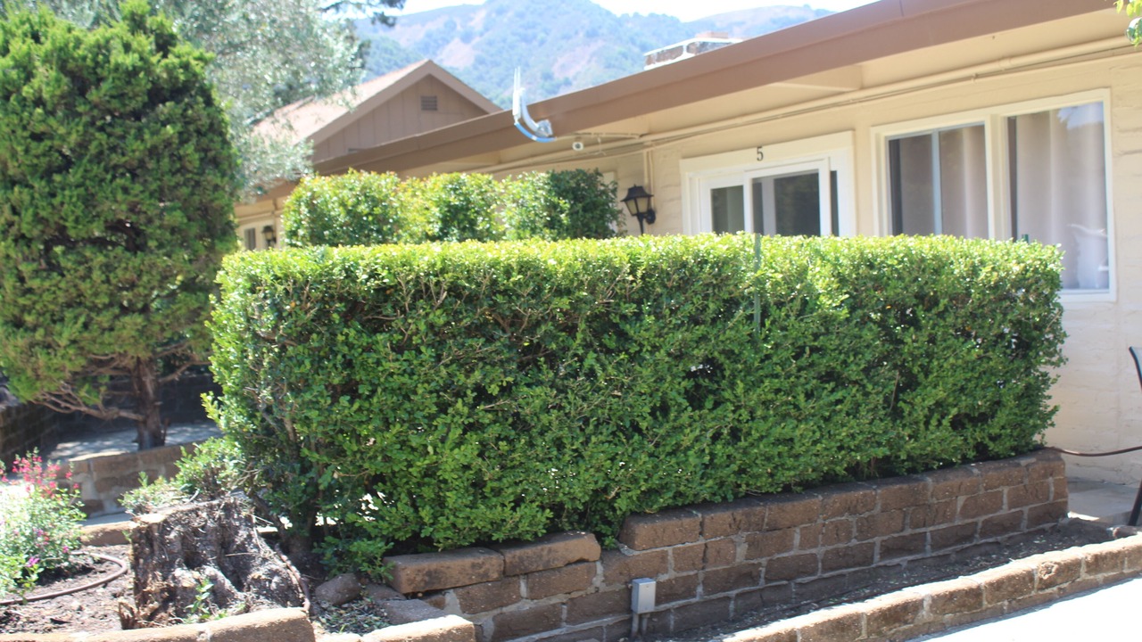 Photo of Others in Carmel Valley