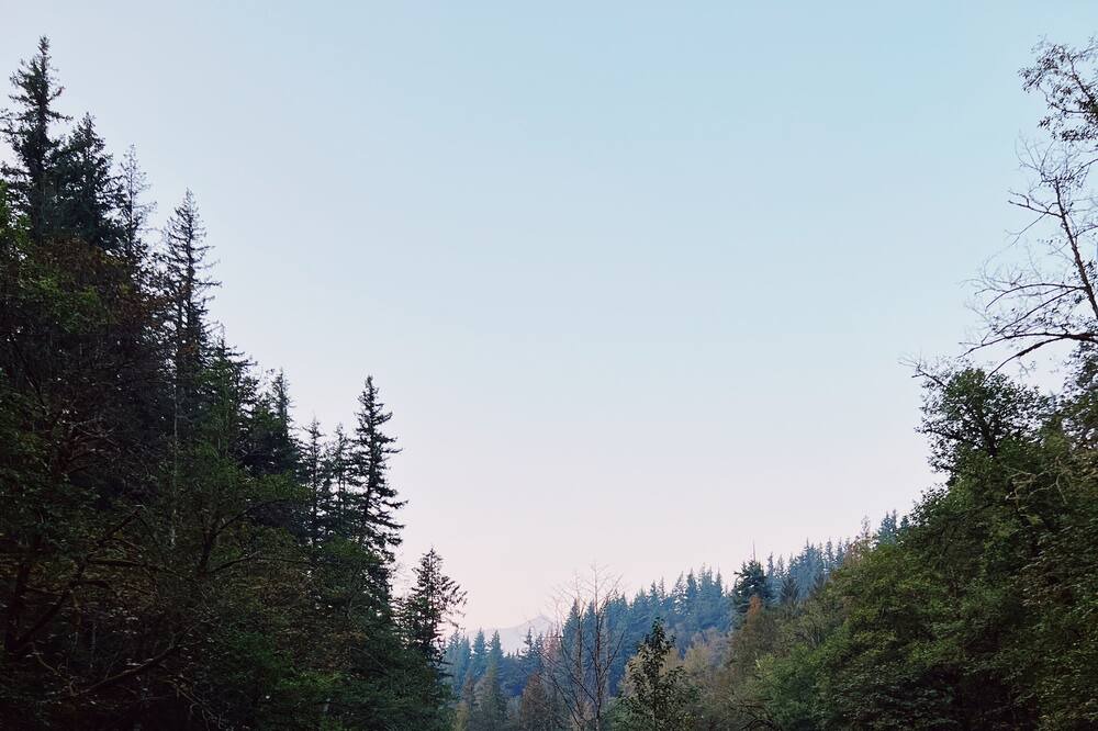 Photo of Others in North Bend