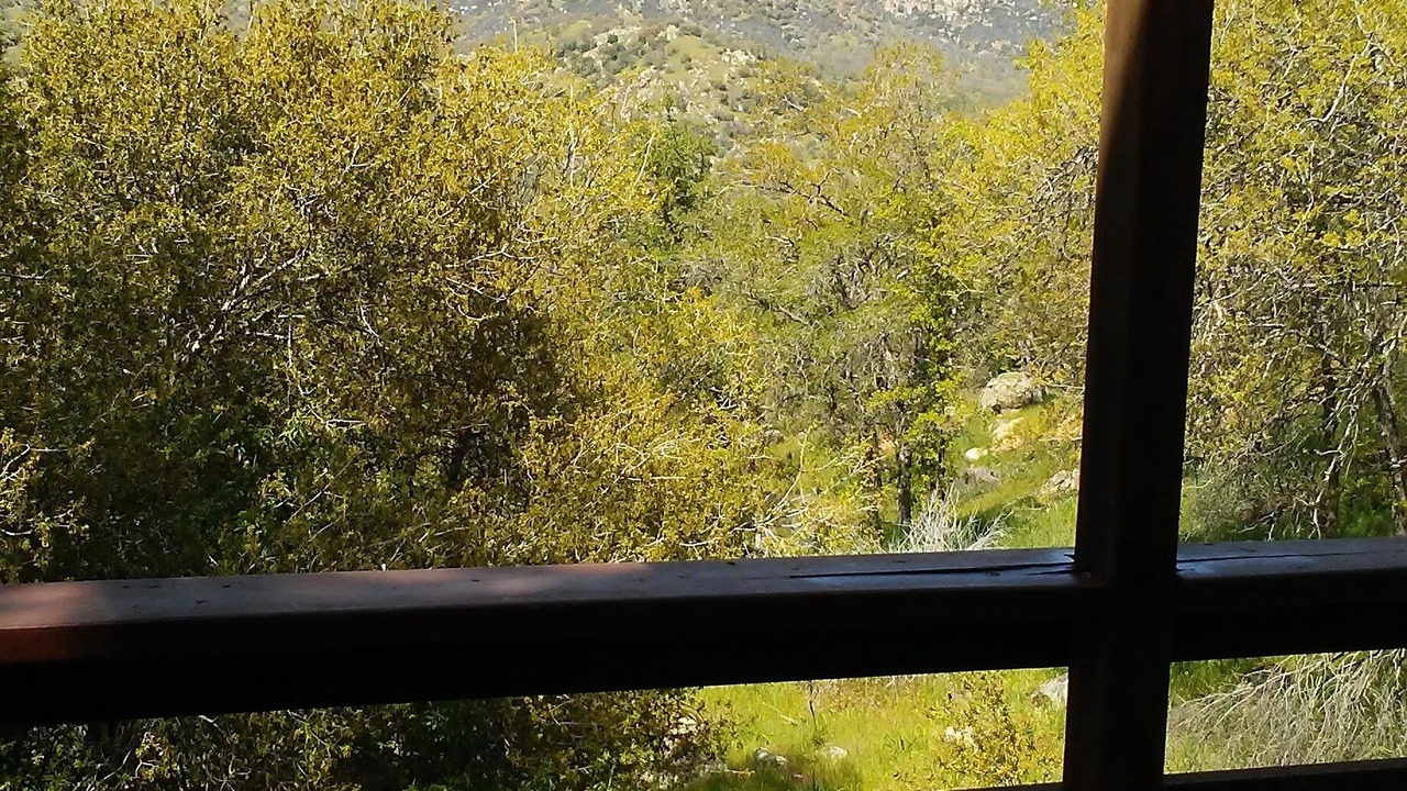 Photo of Outdoor in Three Rivers