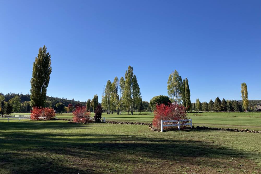 Photo of Others in Munds Park