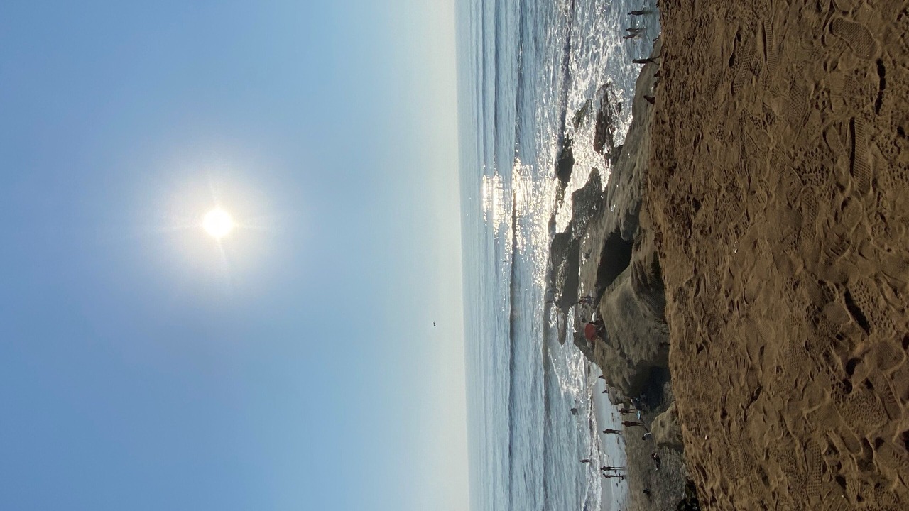 Photo of Others in Ocean Beach