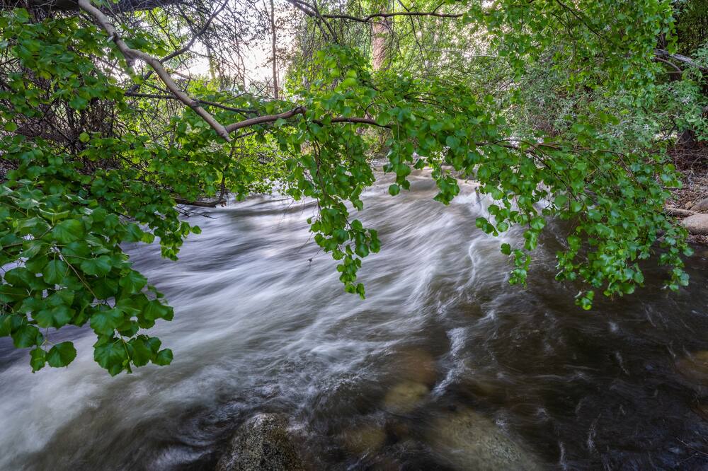 Photo of Outdoor in Bishop