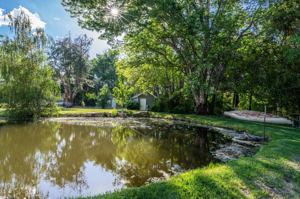 Photo of Outdoor in Bishop
