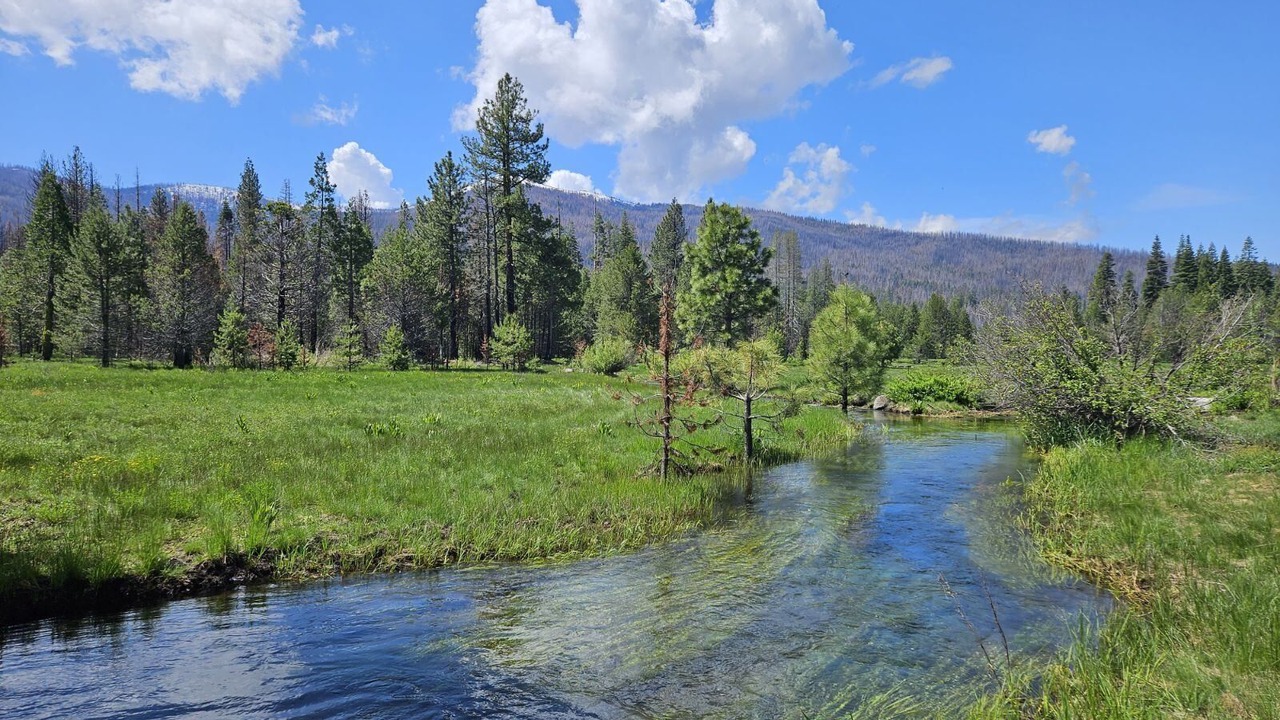 Photo of Outdoor in Mill Creek
