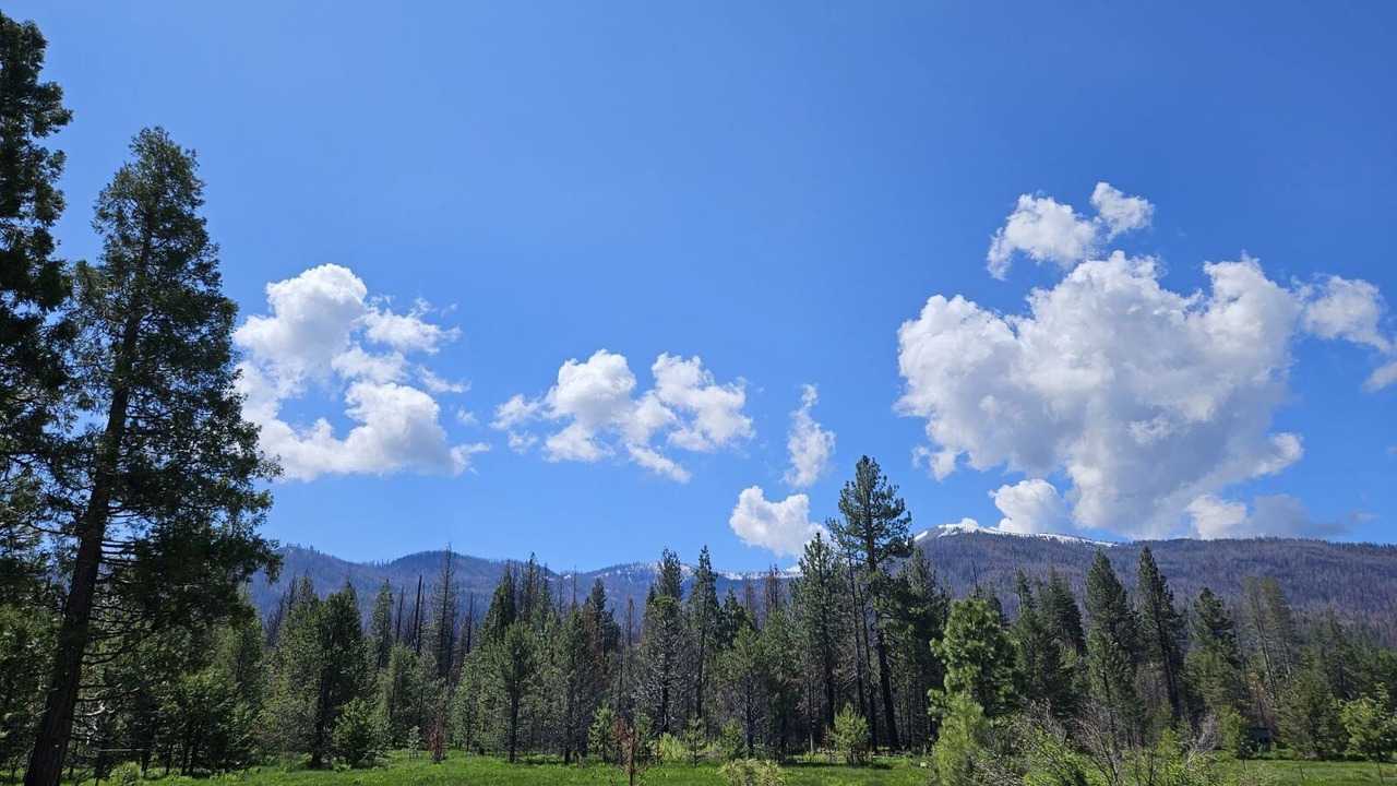 Photo of Outdoor in Mill Creek