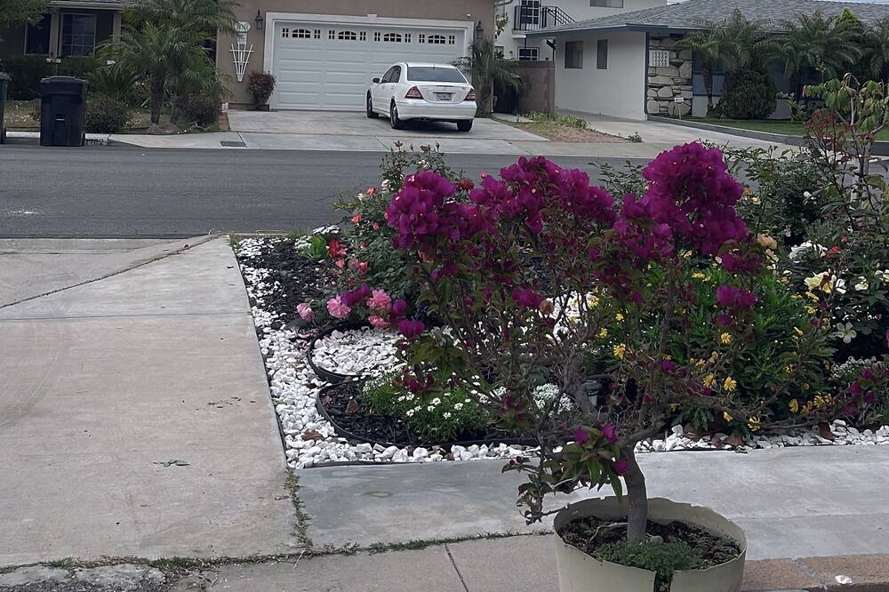 Photo of Others in Garden Grove