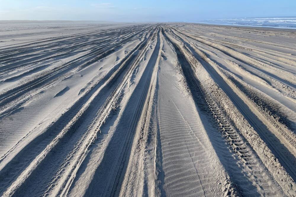 Photo of Others in Long Beach
