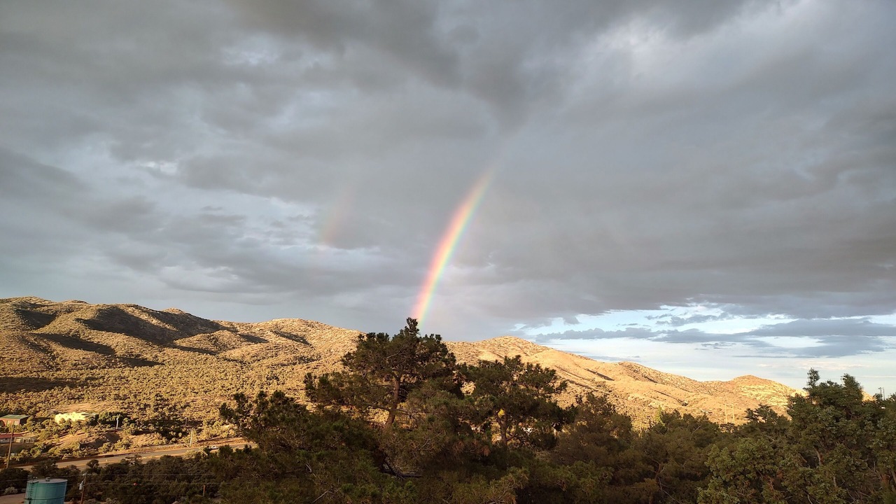 Photo of Others in Mount Charleston