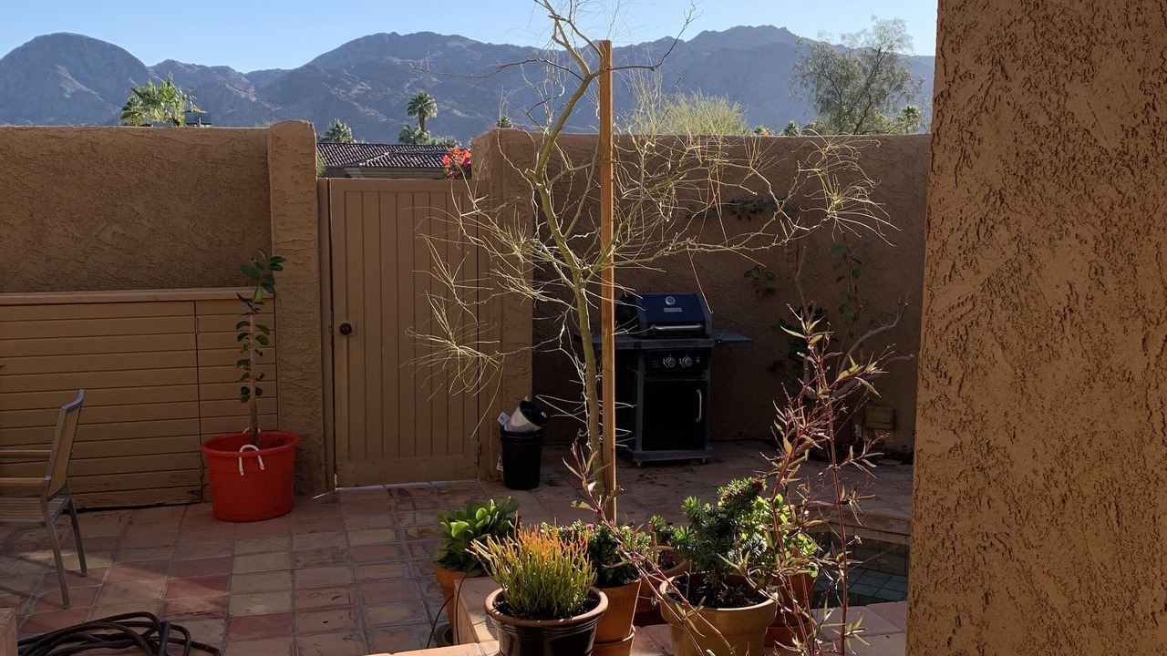 Photo of Outdoor in Palm Desert