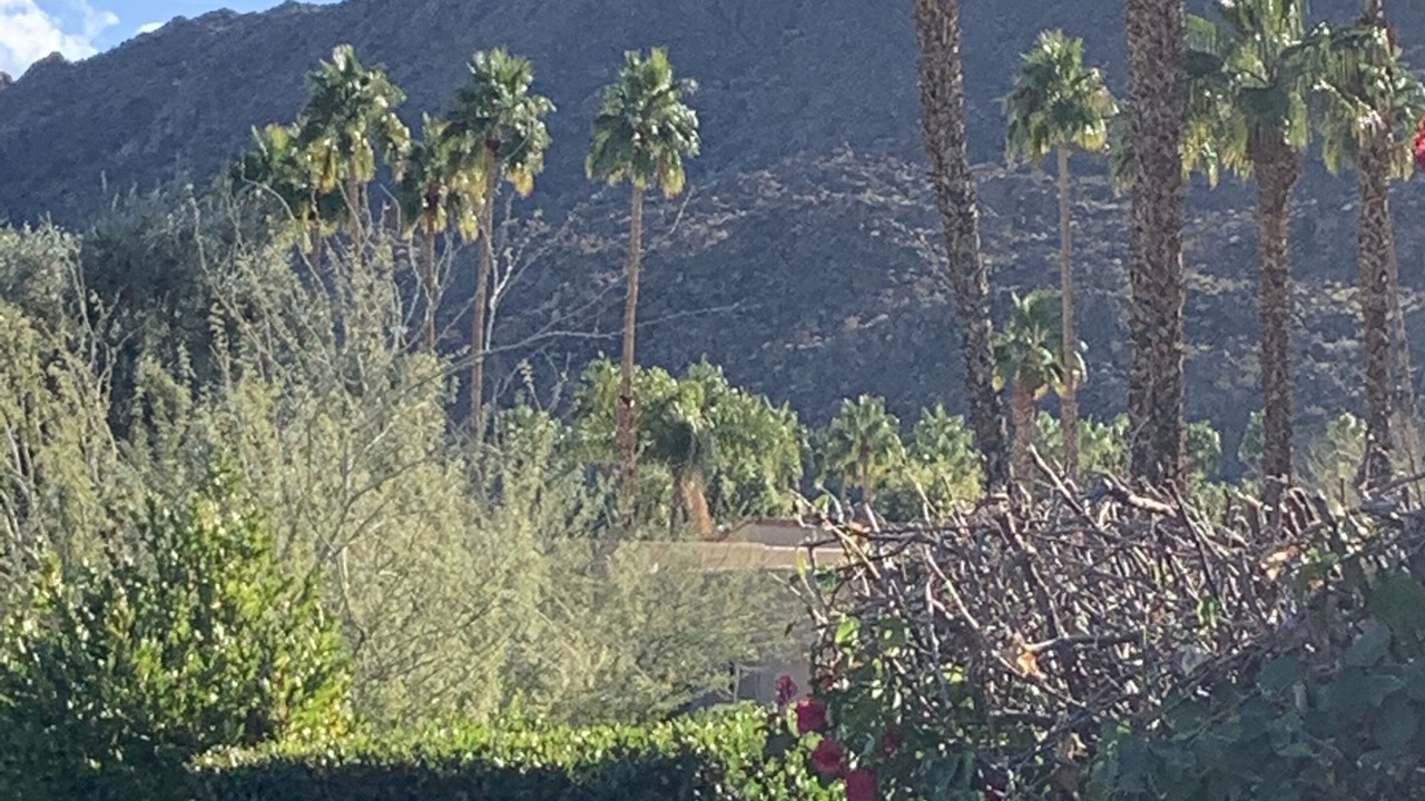Photo of Outdoor in Palm Desert