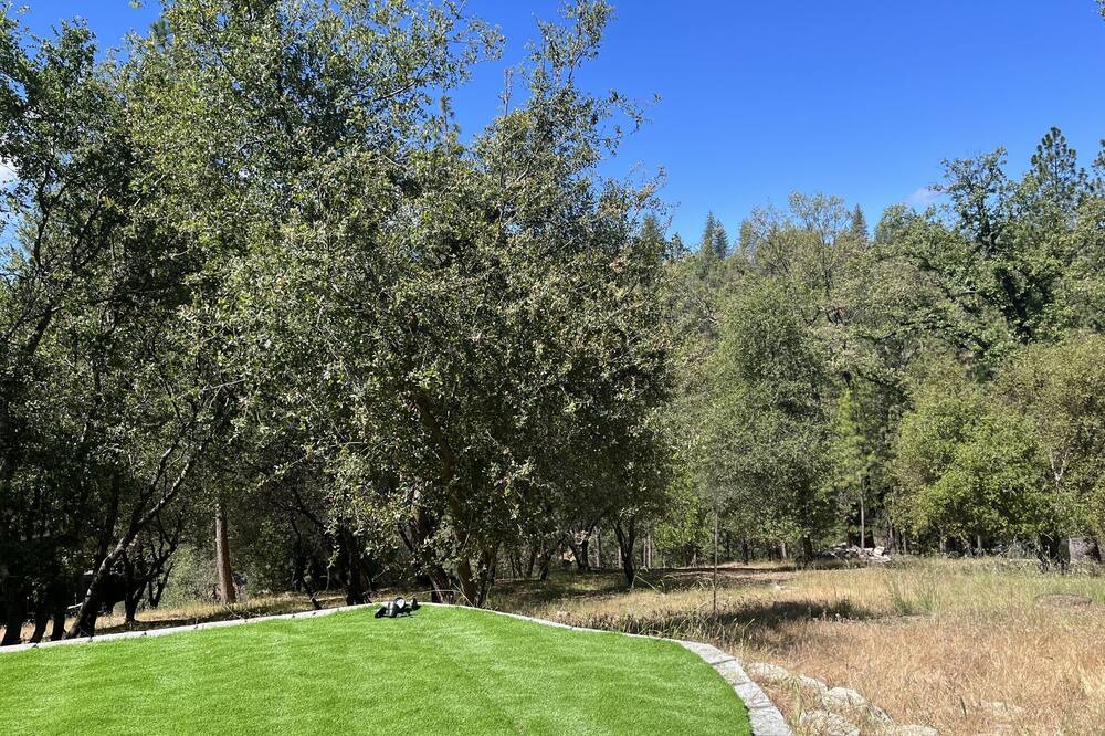 Photo of Outdoor in Groveland