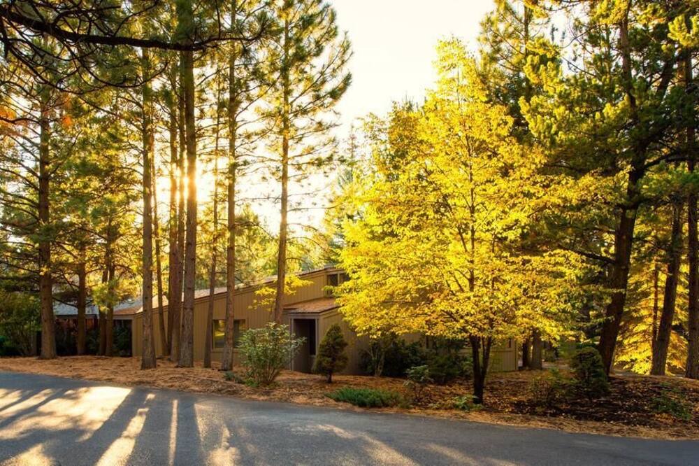 Photo of Outdoor in Sagewood