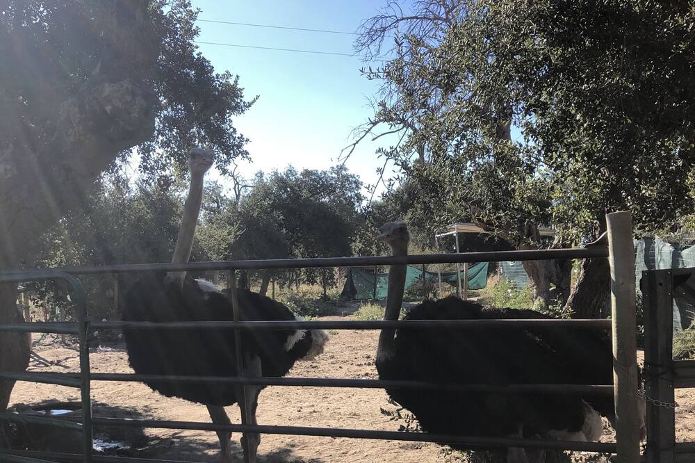 Photo of Outdoor in Warner Springs