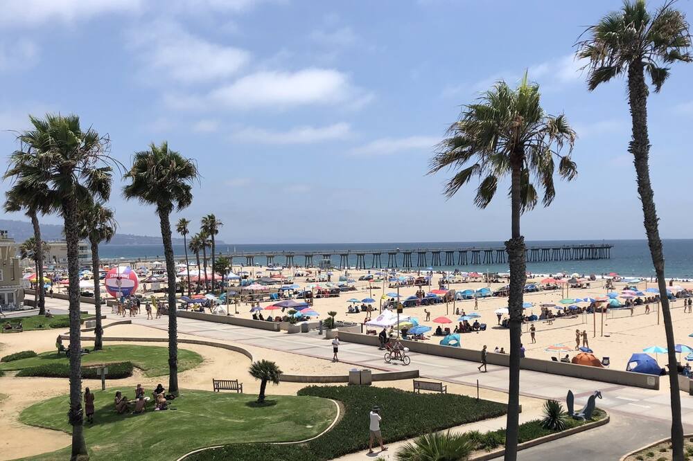 Photo of Others in Hermosa Beach