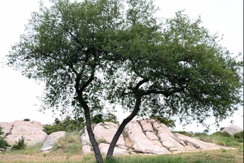 Photo of Outdoor in Ramona