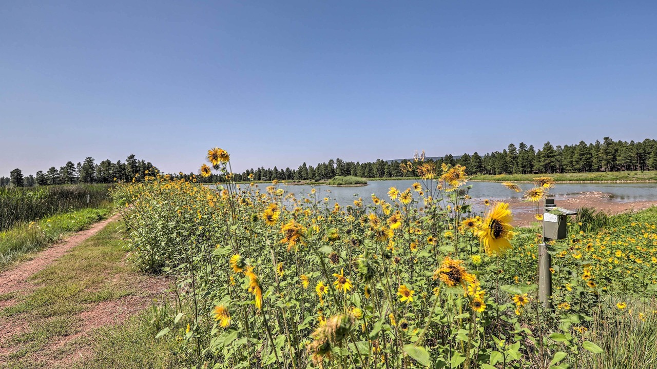 Photo of Outdoor in Kachina Village
