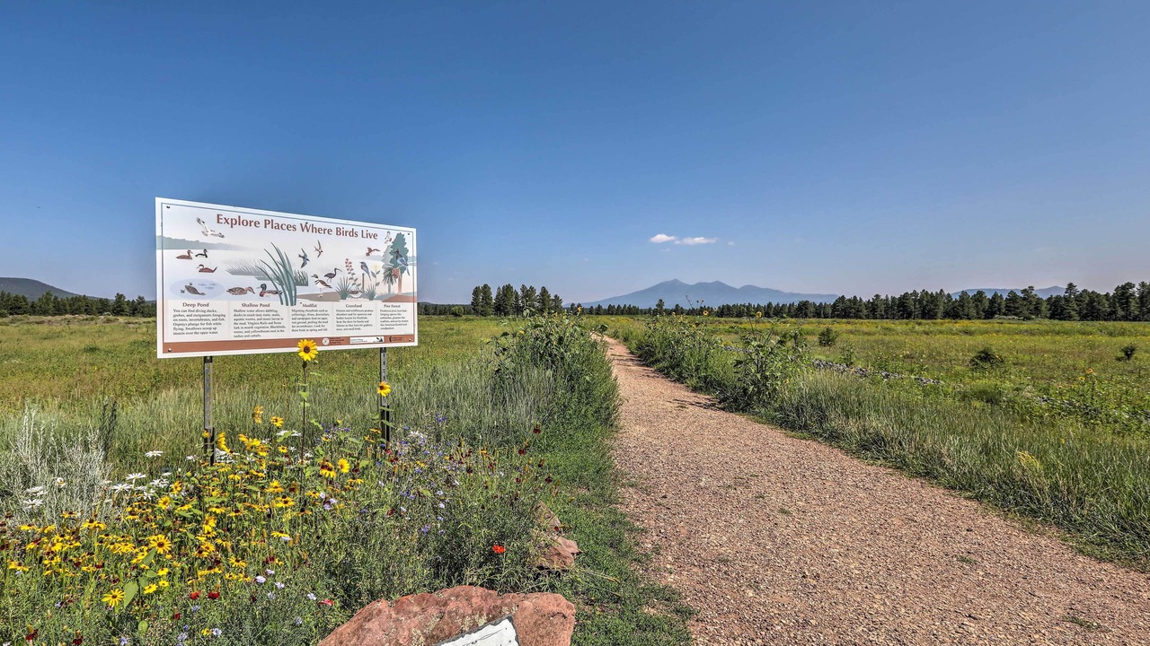 Photo of Others in Kachina Village