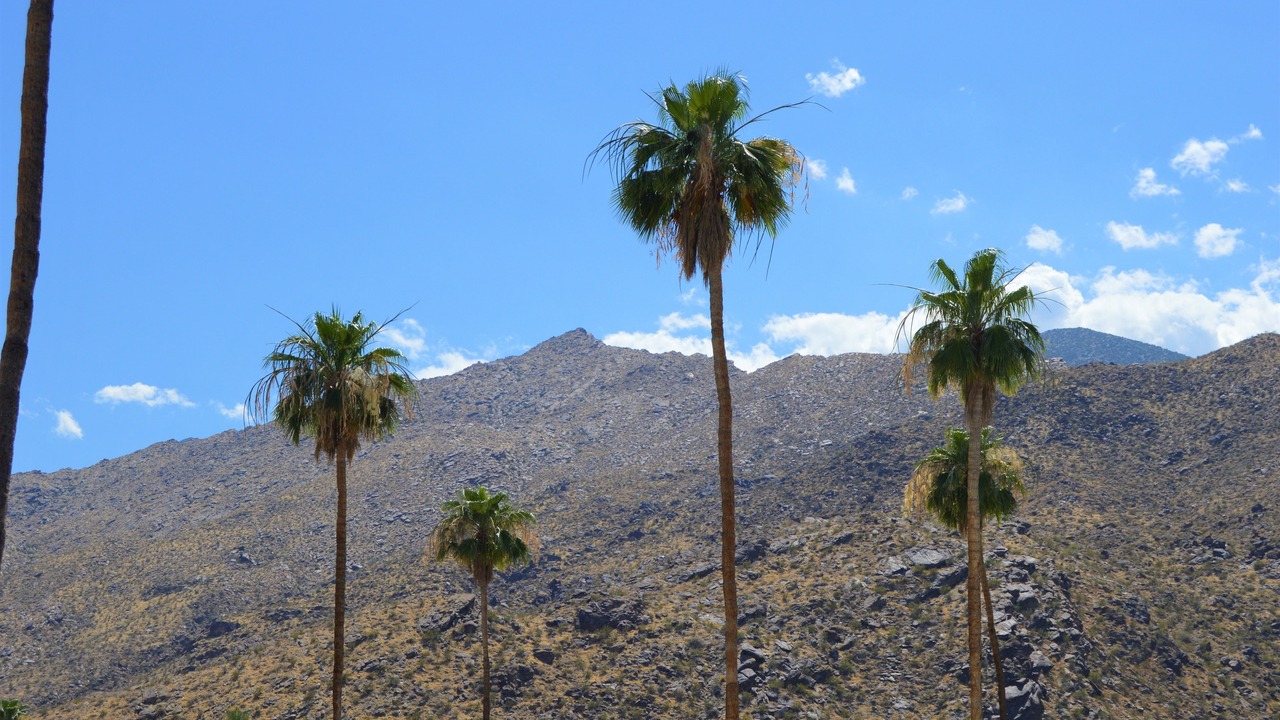 Photo of Others in Tahquitz River Estates