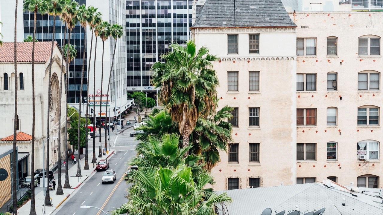 Photo of Others in Wilshire Center