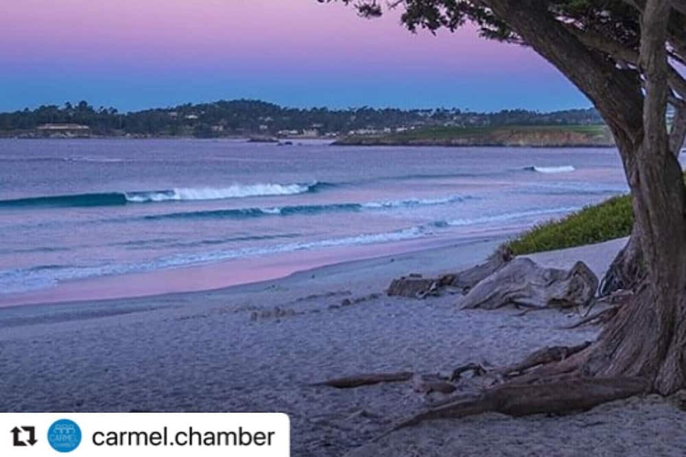Photo of Others in Carmel