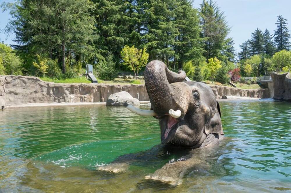 Photo of Others in Tigard