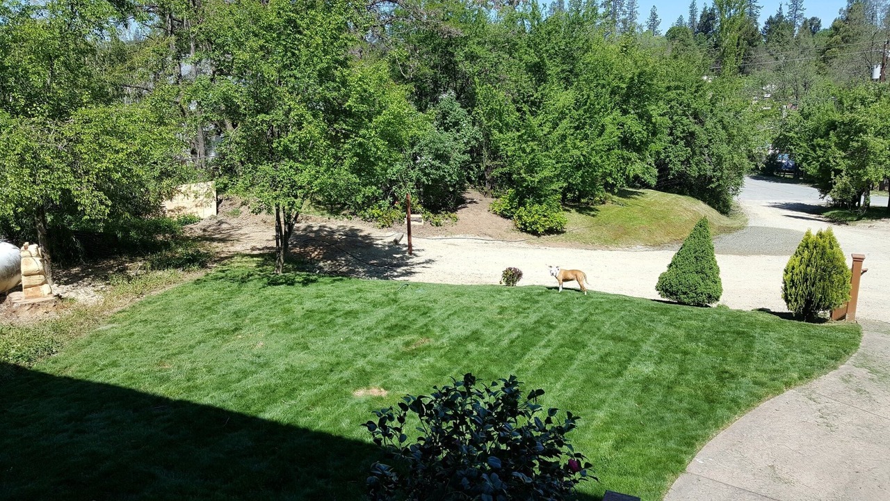 Photo of Outdoor in North San Juan