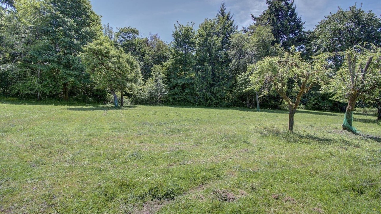 Photo of Outdoor in Clatskanie