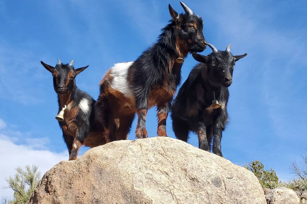 Photo of Others in Kingman