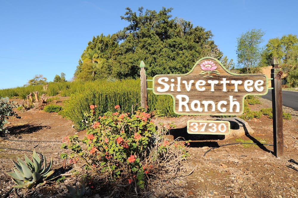 Photo of Outdoor in Vista