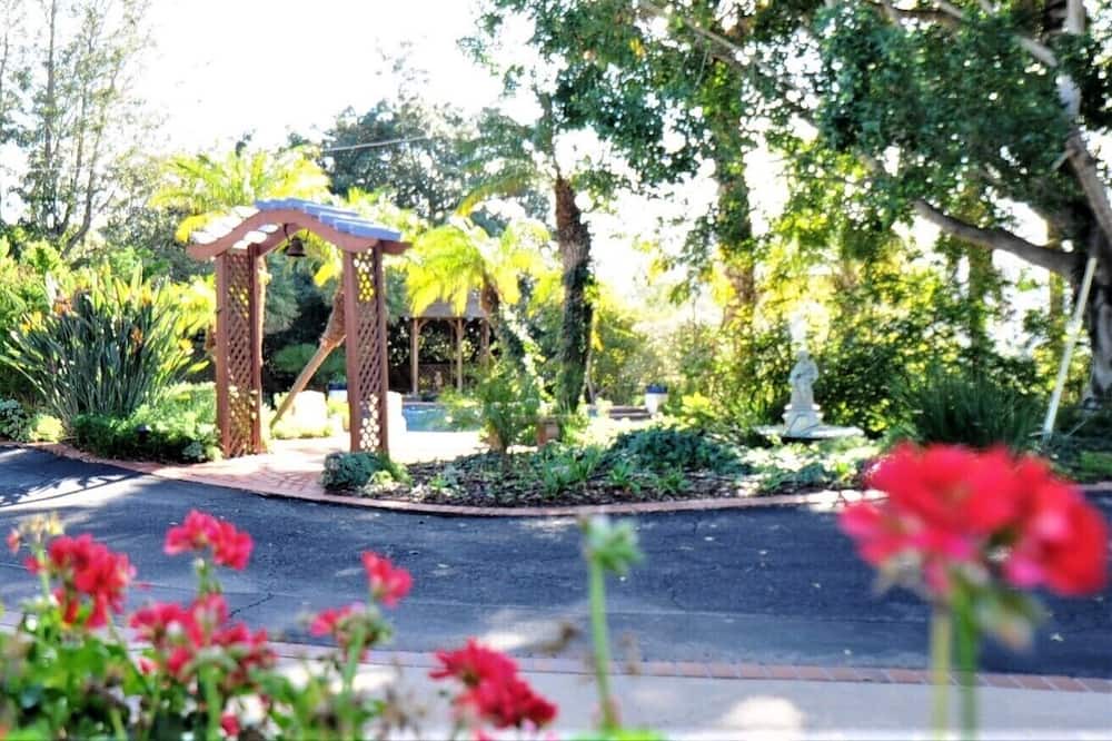 Photo of Outdoor in Vista