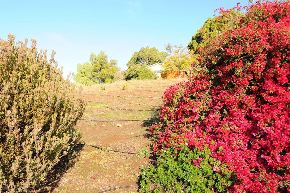Photo of Outdoor in Vista