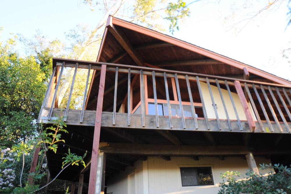 Photo of Outdoor in Vista