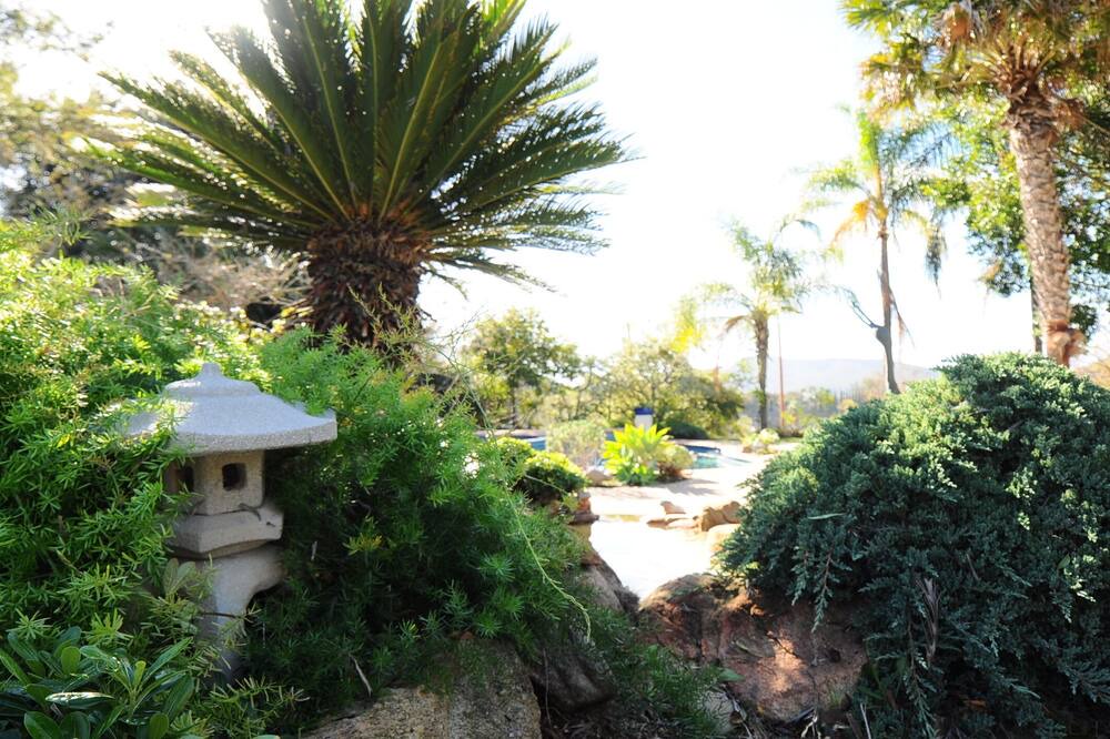 Photo of Outdoor in Vista