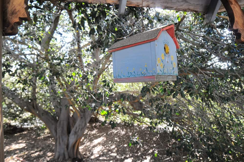 Photo of Outdoor in Vista