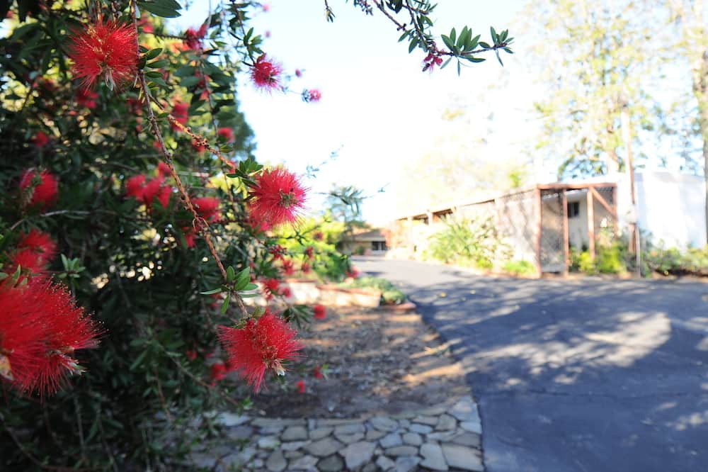 Photo of Outdoor in Vista