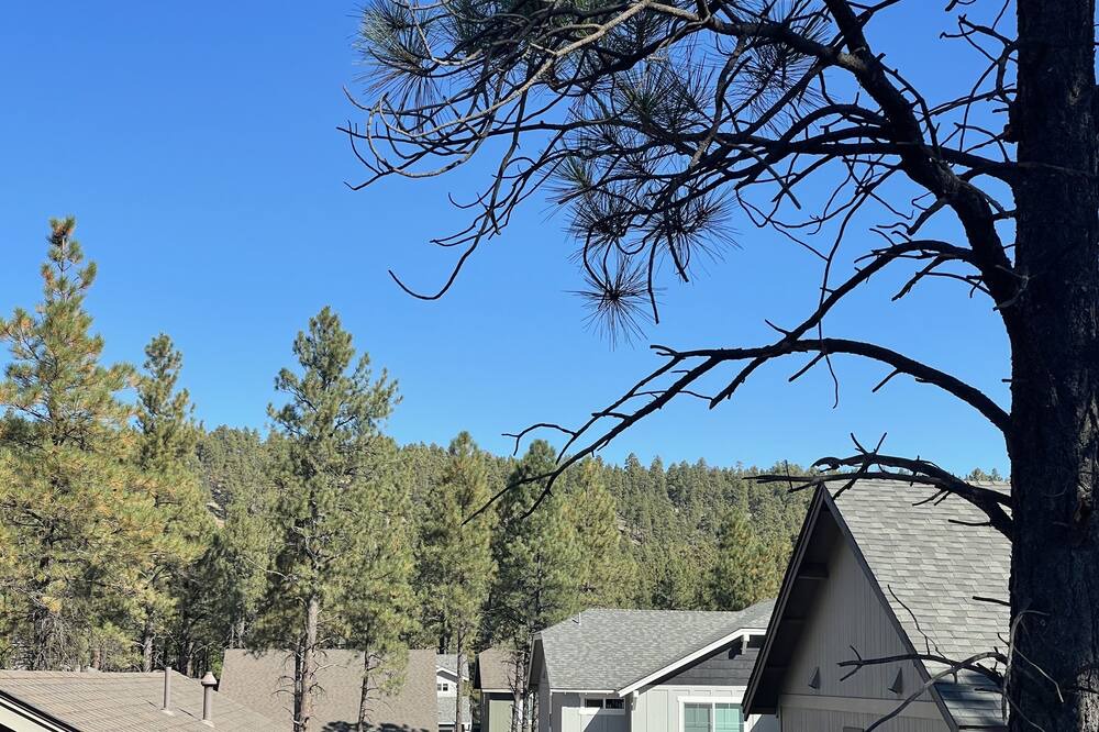 Photo of Outdoor in Flagstaff