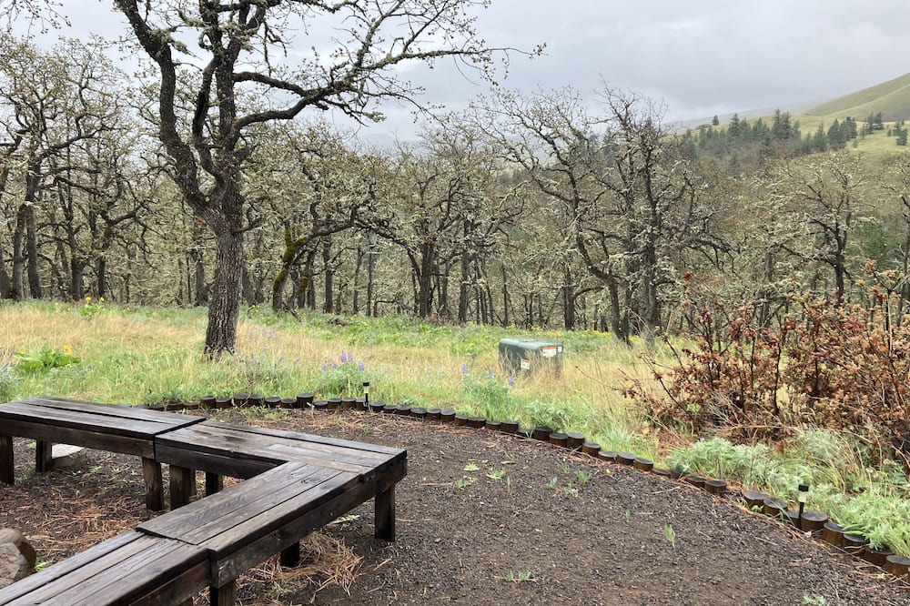 Photo of Outdoor in Lyle