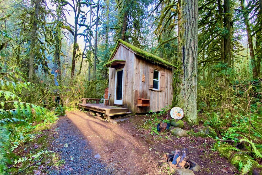 Photo of Outdoor in Molalla