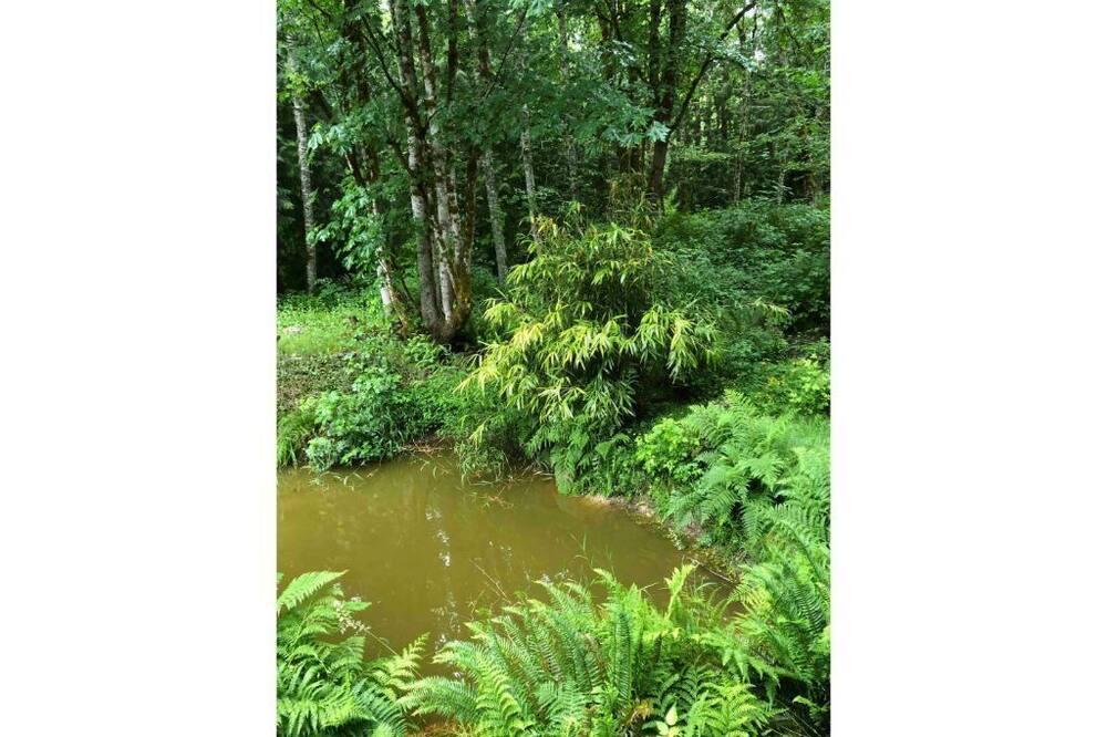Photo of Outdoor in Adelma Beach