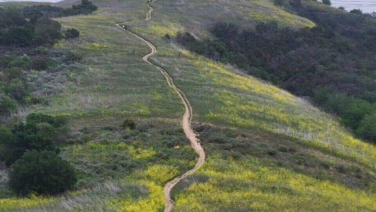 Photo of Others in La Habra Heights