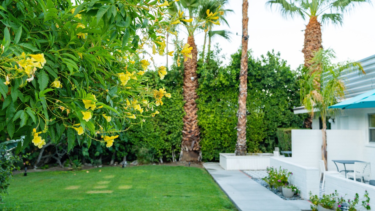 Photo of Outdoor in Tahquitz River Estates