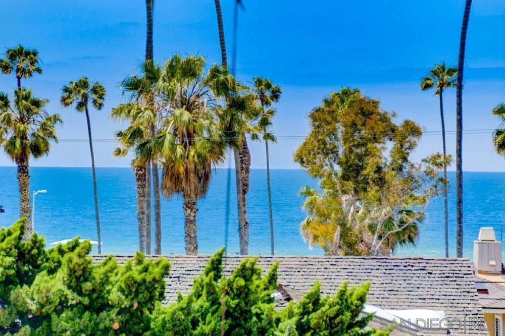 Photo of Outdoor in La Jolla Shores